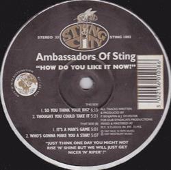 Download Ambassadors Of Sting - How Do You Like It Now