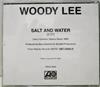 ladda ner album Woody Lee - Salt And Water