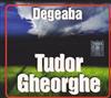 lyssna på nätet Tudor Gheorghe - Degeaba