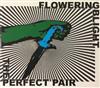 ladda ner album Flowering Blight - The Perfect Pair