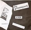 baixar álbum The Grooveyard Ever - Summer Sleepyhead