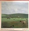 télécharger l'album Larry Groce - Green Pastures Are Before Me