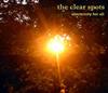 ladda ner album The Clear Spots - Electricity For All