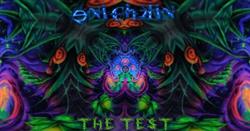 Download eniChkin - The Test