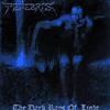 lataa albumi Tenebris - The Dark Rays Of Light