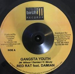 Download Red Rat Feat Damian Kiprich - Gangsta Youth Baby Song