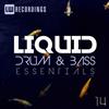 ladda ner album Various - Liquid Drum Bass Essentials 14