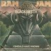 télécharger l'album Ram Jam - Black Betty I Should Have Known