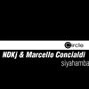 ascolta in linea NDKj & Marcello Concialdi - Siyahamba