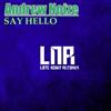 ouvir online Andrew Noize - Say Hello