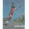 ladda ner album Skittle Alley - demo