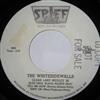 last ned album The Whitesidewalls - Clear Lake Medley 82