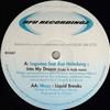 last ned album Lagoona Feat Åsa Holmberg Mozz - Into My Dream Remix Liquid Breaks