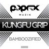 ouvir online Kungfu Grip - Bamboozified