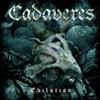 ladda ner album Cadaveres - EvilutionDevils Dozen