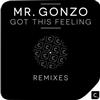 télécharger l'album Mr Gonzo - Got This Feeling Remixes