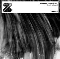 Download Bebhionn Laboratory - Sensitive Sound