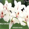 kuunnella verkossa Shidarun Asaka - Wild Orchid