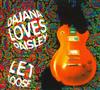 ouvir online Dajana Loves Paisley - Let Loose