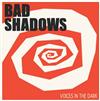 online luisteren Bad Shadows - Voice In The Dark