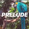 last ned album HOFFEY - Prelude Single