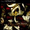 The Old Dead Tree - The Blossom