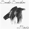 descargar álbum Snake Surikov - Birds