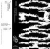 lataa albumi Honzo - Distopia Un Mondo Indesiderabile LP