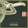 descargar álbum Carrantuohill - Irish Fermet