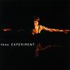 descargar álbum Peha - Experiment