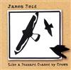 lytte på nettet James Reid - Like A Buzzard Chased By Crows