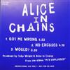 descargar álbum Alice In Chains - Got Me Wrong