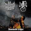 escuchar en línea Dragón De Hierro Misanthropic Kommando - Flammable Nіggеr