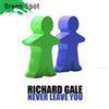 kuunnella verkossa Richard Gale - Never Leave You