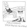 lytte på nettet Palehound - YMCA Pool bw Sea Of Blood