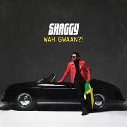 Download Shaggy - Wah Gwaan