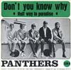 écouter en ligne The Panthers - Dont You Know Why