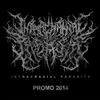 Album herunterladen Intracranial Parasite - Promo 2014