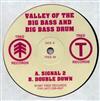 Album herunterladen Valley Of The Big Bass And Big Bass Drum - Tree 8