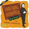 ouvir online Bryn Terfel, Paul Daniel, English Northern Philharmonia - Something Wonderful Bryn Terfel Sings Rodgers Hammerstein