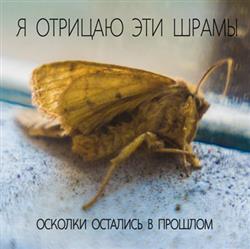 Download Я Отрицаю Эти Шрамы - Осколки Остались В Прошлом