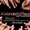 écouter en ligne Blaze Presents Underground Dance Artists United For Life Feat Ultra Naté - A Wonderful Place Sean McCabe Remix