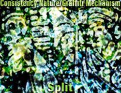 Download Consistency Nature Graffiti Mechanism - Split