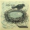 descargar álbum Angel Olsen Steve Gunn - Live At Pickathon Angel Olsen Steve Gunn