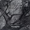 descargar álbum Belmez - Wundgrind