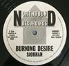 baixar álbum Siobhan - Burning Desire Rinse Out Dub