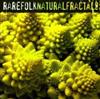 escuchar en línea Rarefolk - Natural Fractals