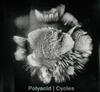 Polyacid - Cycles