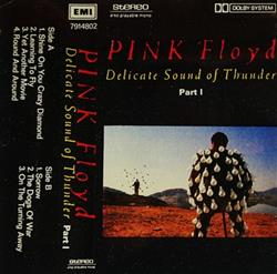 Download Pink Floyd - Delicate Sound Of Thunder Part I