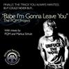 The PQM Project - Babe Im Gonna Leave You